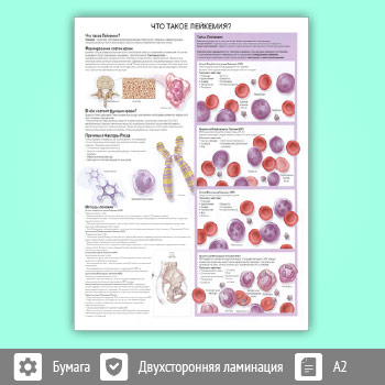 Плакат «Что такое лейкемия?» (ЗОЖ-16, 1 лист, A2)